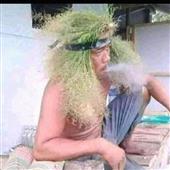 khỉ