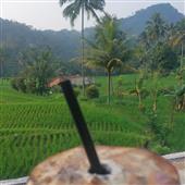 Cham