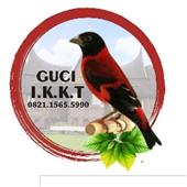 Giải