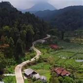 Tất
