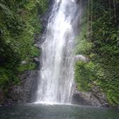 Học 