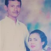 đơn
