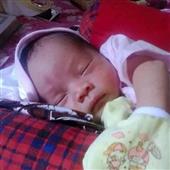 Luật