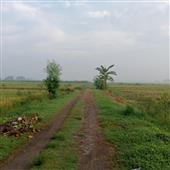 Hoản