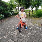 Tarz