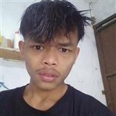 Gấu