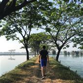 Thế