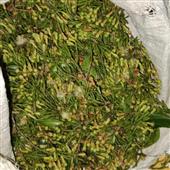 Sự k