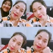 Gấu