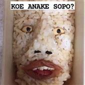 HỔ T