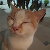 Fac