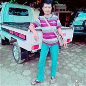 Phỉn