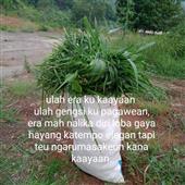 Mê 