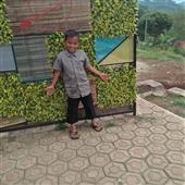 Xem 