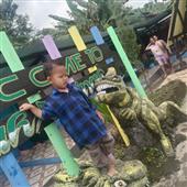 Mơ 