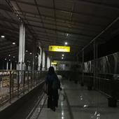 Trực