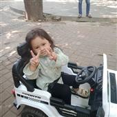 Bộ q