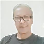 Gấu 