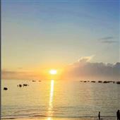 Trực