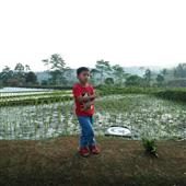 Xem 