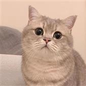 PubT