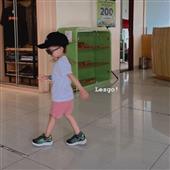 Giấ