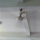 Chơ