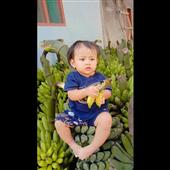 Truy