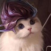 Hàng