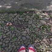 Kết