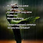 Vua