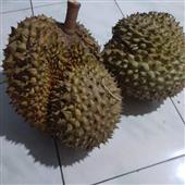 Vận 
