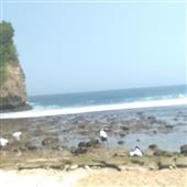 Tải 