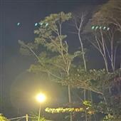 TÀI 