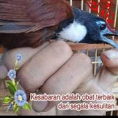 Chơ