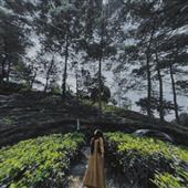 Tại 