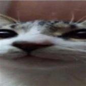 Tỷ l