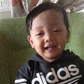 Dự 
