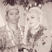 Husa