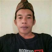 Cung