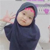 Cung