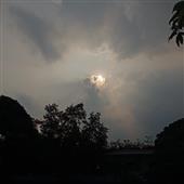 Mạt 
