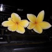 Lịc