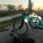 Cuộc