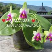Cham