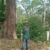 Faer