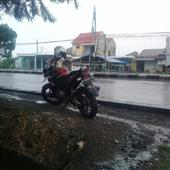 Rừng
