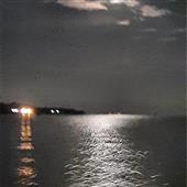 Cây 