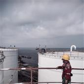 Guồn