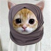 Bắt